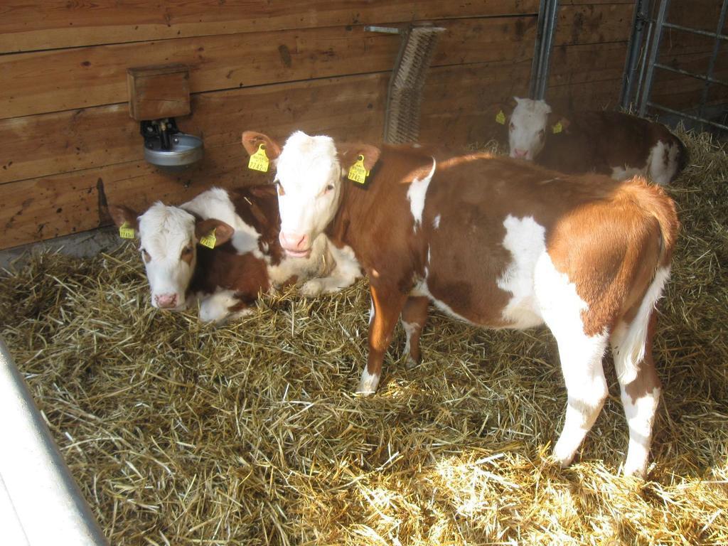 Ganhoer- Fam. Kaar Wintersdorf Buitenkant foto